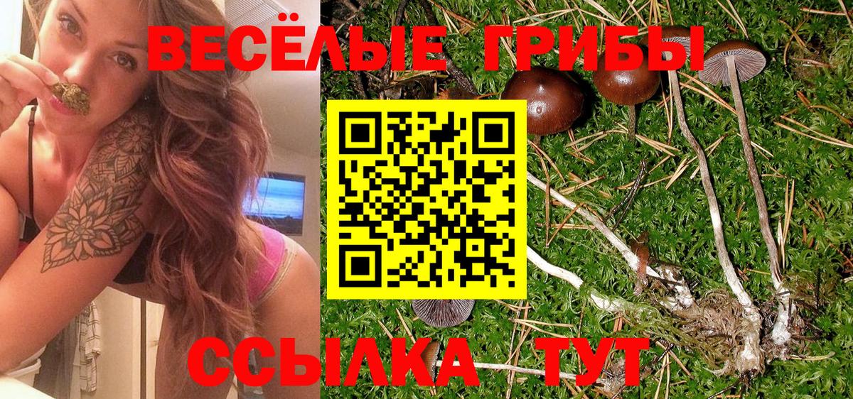 Самара  закладка  Вход с VPN  Псилоцибиновые грибы MAGIC MUSHROOMS 