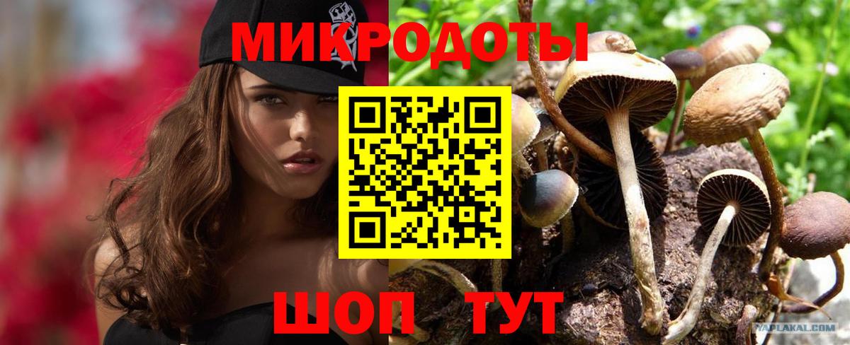 Галлюциногенные грибы мицелий Самара