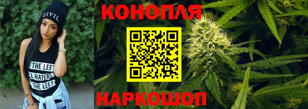 Каннабис OG Kush Самара